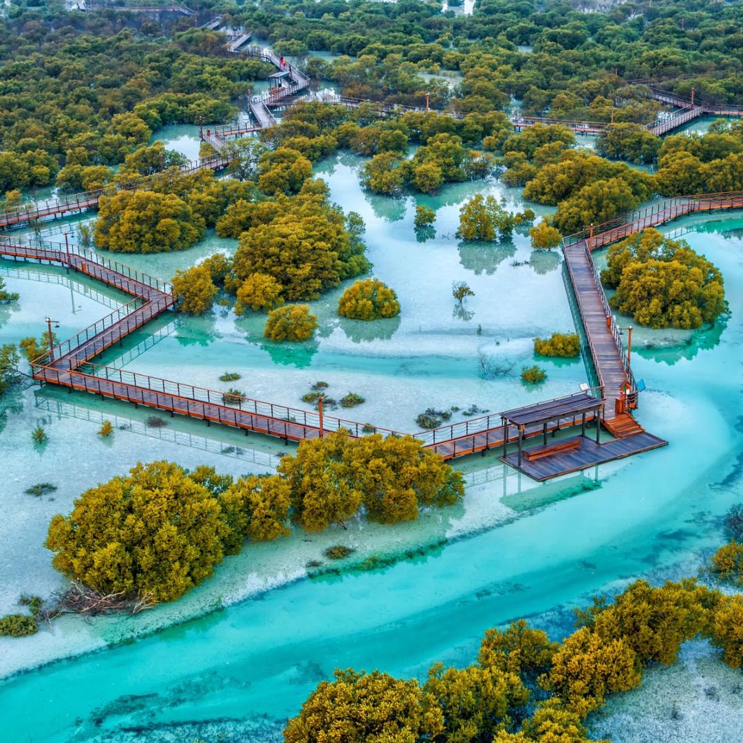 Mangroves